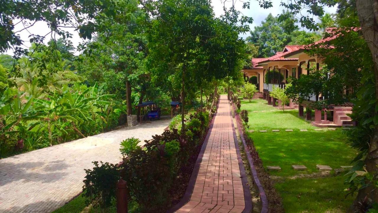 Hill Garden Hotel Chaungtha Exteriér fotografie